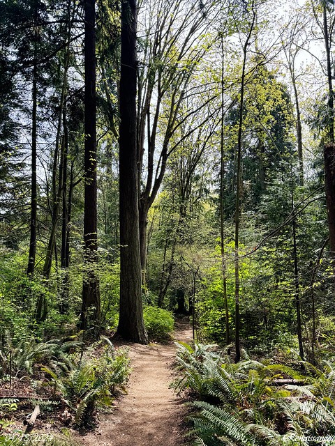 Walk In The Woods