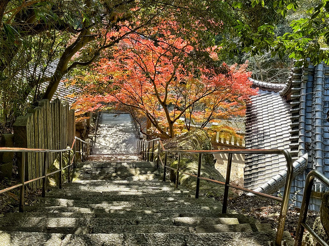 Temple 71 Iyadani-ji