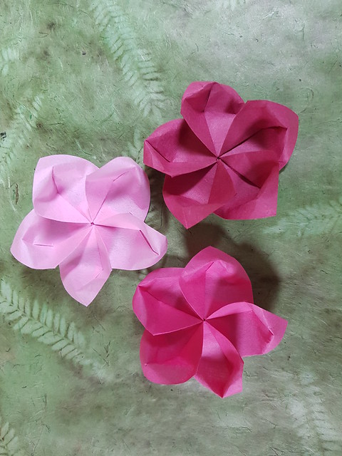 Pentagonal flowers