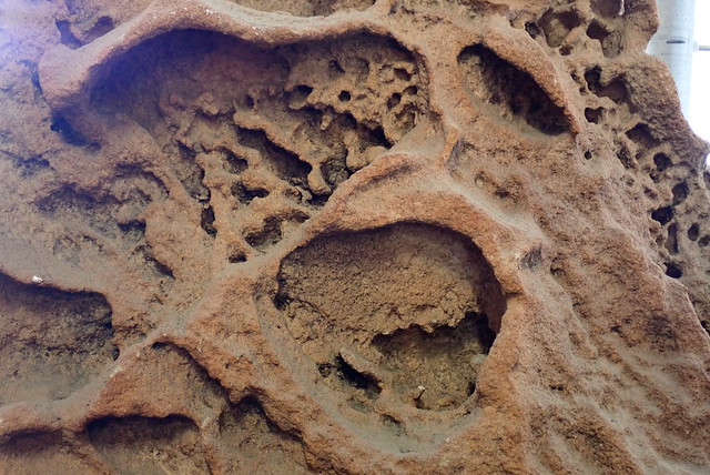 Intricate sandstone shapes