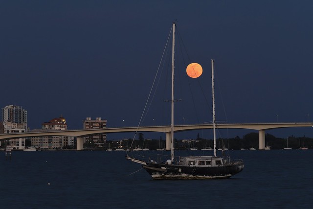 IMG_5125.jpg_April's pink moon over Sarasota, FL.