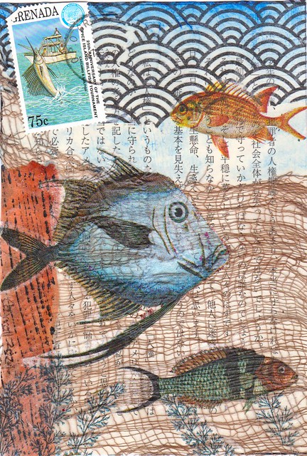 Fish net collage PC