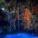 The infamous Casa Bonita diving pool