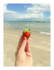 Strawberry on the Beach u00a92024