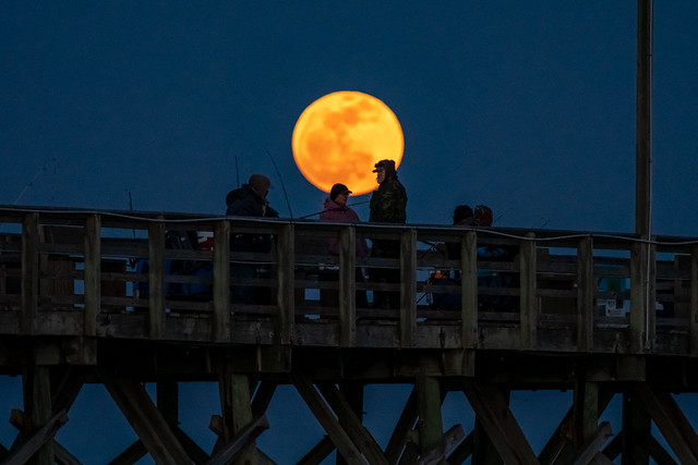 Moonlight on the Pier