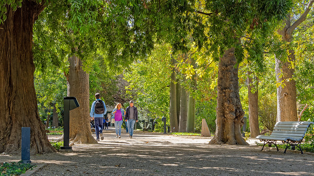 Walk in The Botanical Gardens (Valencia) (OM1 & Leica 10-25mm f1.7 Zoom) (1 of 1)
