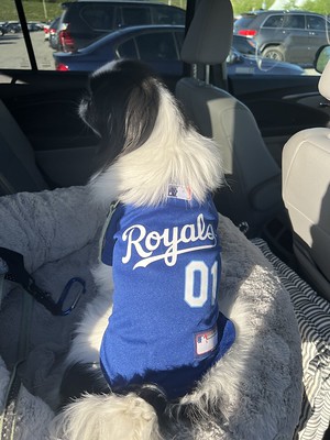 Royals Jersey on Oliver and Ready for Game