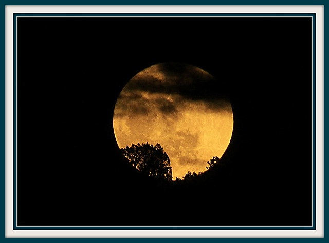 Colorado Moon Rise~