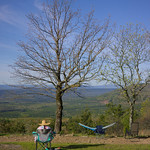 View with a couple trees A nice view of the valley around Mount Nebo State Park complete with a couple trees, a hammock, and chairs.