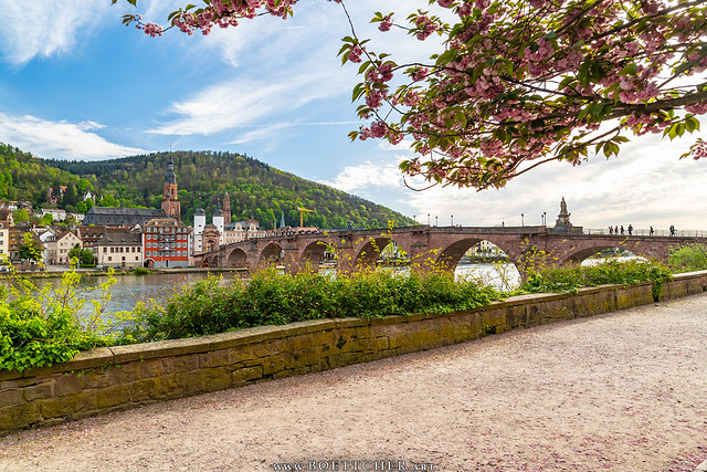 Colourful Spring View at Heidelberg's Old Bridge - April 2024 I