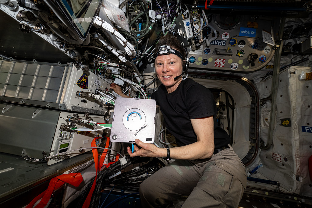 Astronaut Tracy C. Dyson services components and cleans research hardware