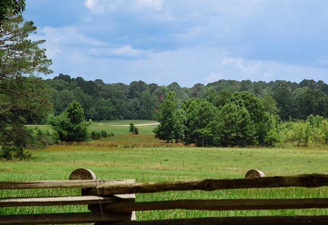Farmland on the Natchez Trace Parkway - Mississippi