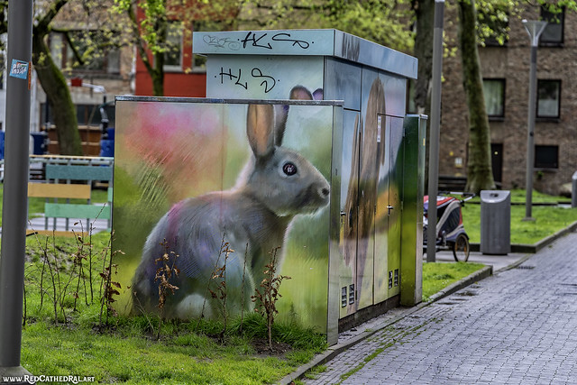 Bunny art in Antwerpen