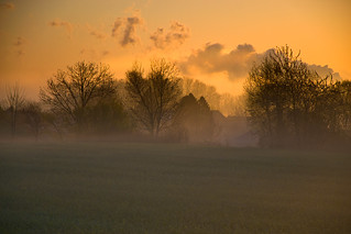 Early morning gold and mist