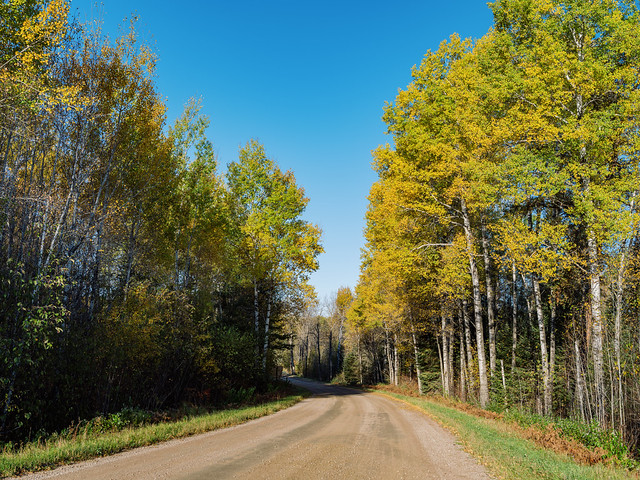 Autumn on the Echo Trail - Ely - Buyck - Minnesota