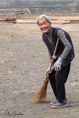 Sweeping the yard