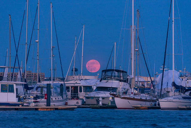 The Rise of April's Pink Full Moon
