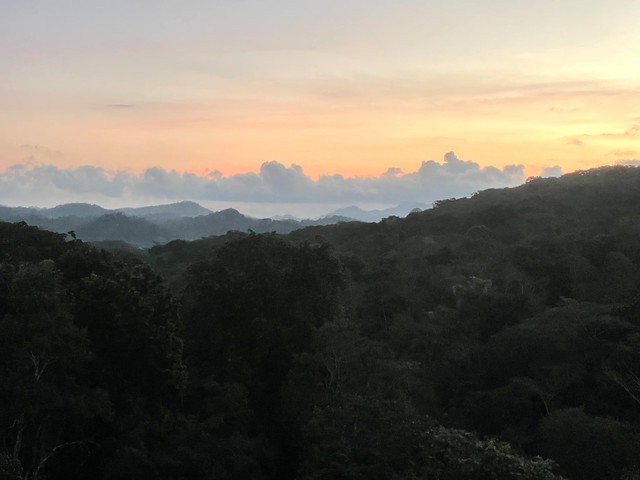 View from Hotel, Soberania National Park