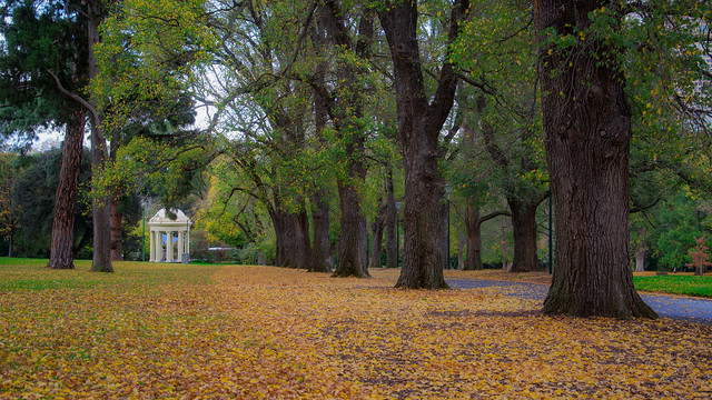 Fitzroy Gardens Rotunda, Autumn in Melbourne
