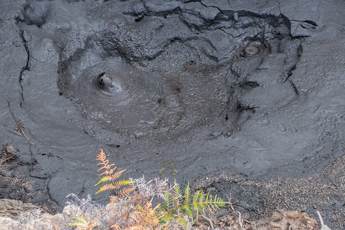 whakarewarewa mud bubble | by glasnevinz