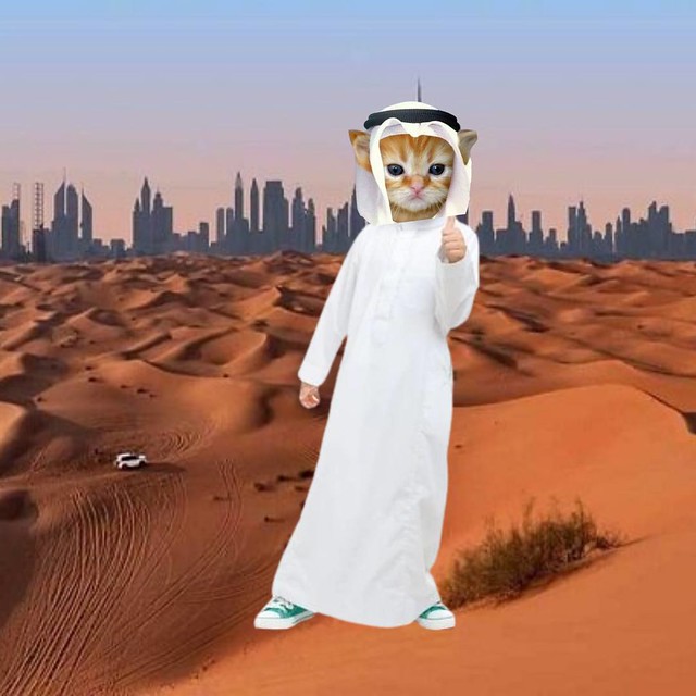 Habibi Sheikh in the desert 2