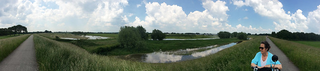 Nederland. Panorama Uiterwaard. The Netherlands. Panorama floodplain . Les Pays-Bas. Plaine inondable panoramique.  Die Niederlande. Panoramaaue.