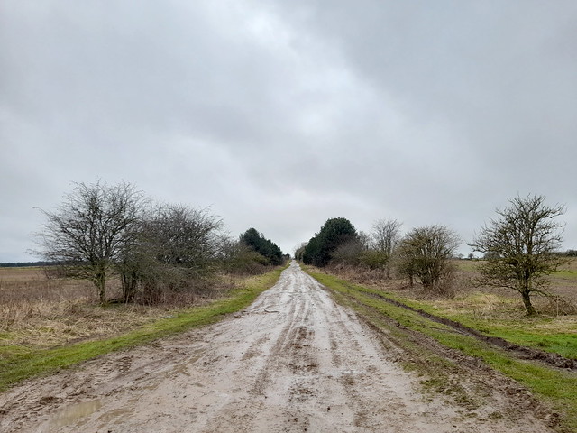 Low Field Lane