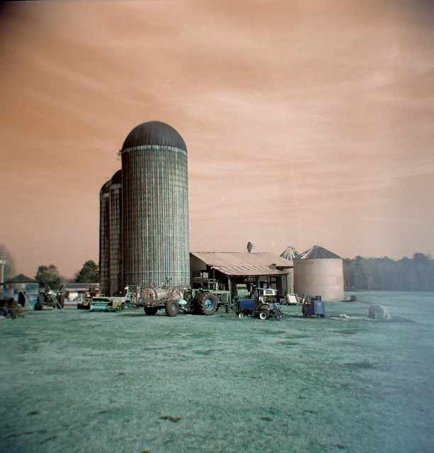 Dairy on the Red Planet