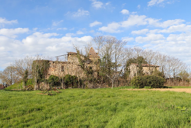 Ruines patrimoniales enveloppées dans la végétation sauvage