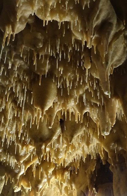 Estalactitas tipo macarrón – Cuevas de Diros, Vlyxada, Grecia