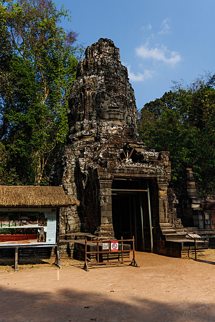 Unterwegs in Kambodscha: Auf dem Weg zum Ta Prohm Tempel und im Ta Prohm Tempel (Tomb Raider Tempel) Tempel im März 2024