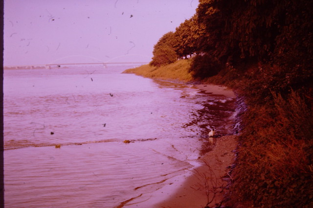 Dia - C. Smits - Rivier de Merwede en Merwedebrug vanaf strandje 27-05-1980