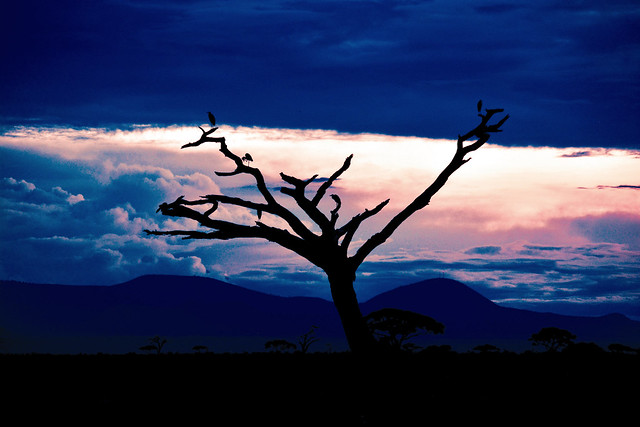 Sunset over Amboseli│Kenya
