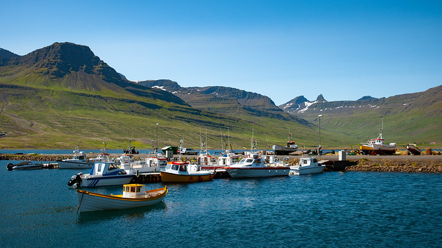 Austfirðir landscape