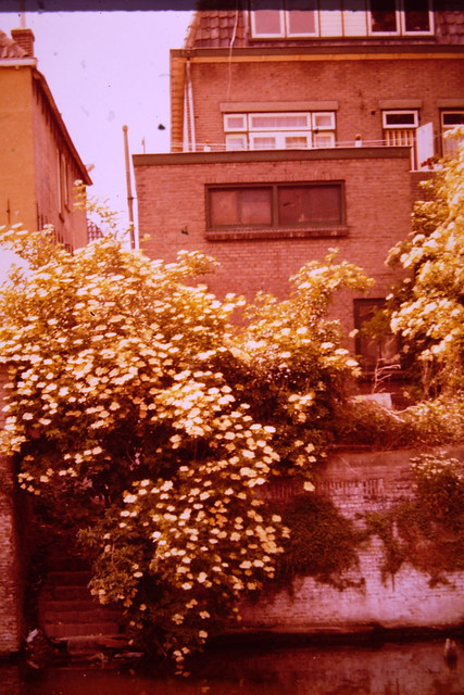 Dia - C. Smits - Achterzijde Kortendijk, trapje van steiger 15-06-1980