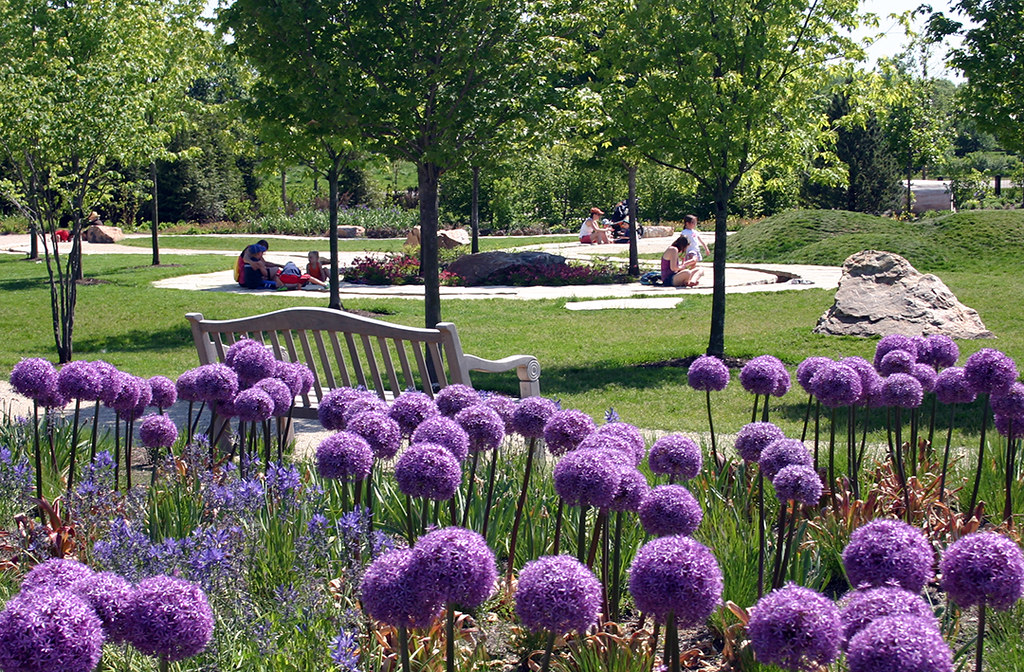 Alliums at the Learning Campus