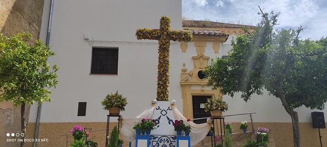 Cruz de Mayo en la plaza del Rector 1714131245183