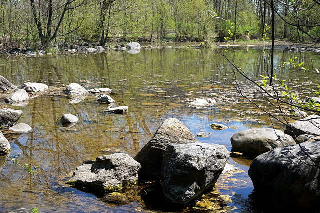 Spring Trail Pond