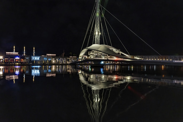 The Great Harbor Bridge with Reflection