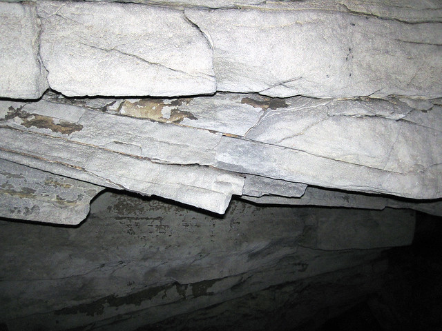 Cross-bedded limestone (Ste. Genevieve Limestone, Middle Mississippian; Main Cave, Mammoth Cave, Kentucky, USA) 4