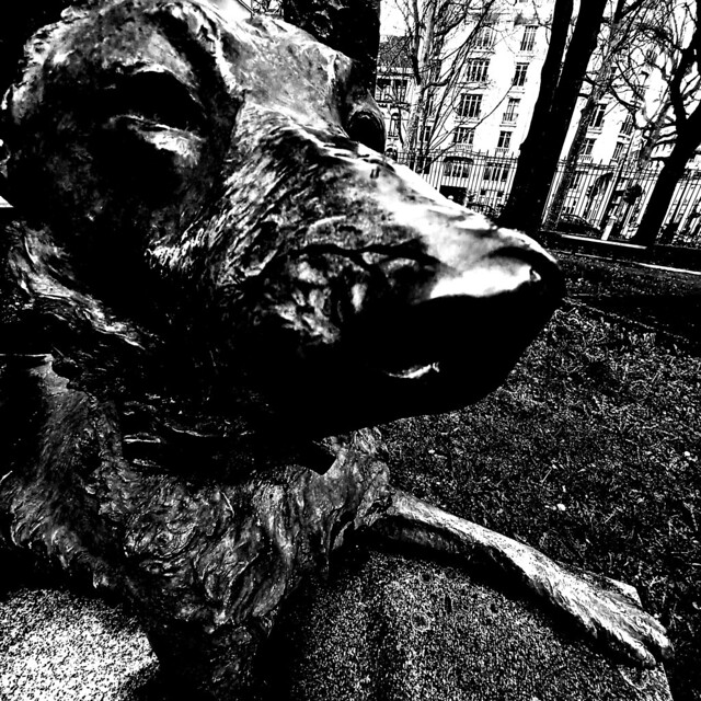 '' This is (Not) a Revolution !!! The come-back of the Black Dog, the best friend of Human Being for his security. The Earth is save ... (2) ''   2024/Lille/North of the France/Samsung Galaxy A32
