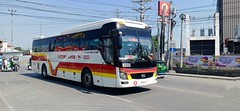 Victory Liner 8333 (2024) (04-26)