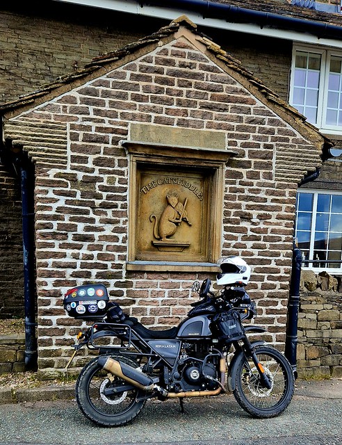 Cat and Fiddle..