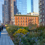The High Line, New York City 