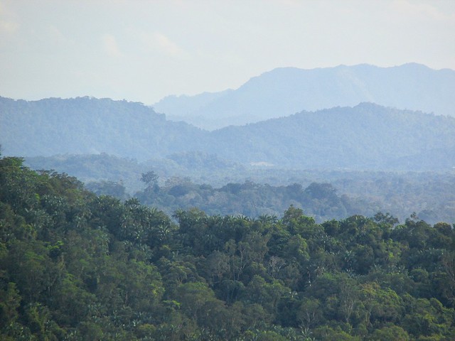 Ulu Temburong National Park, Brunei, on the island of Borneo (2016)
