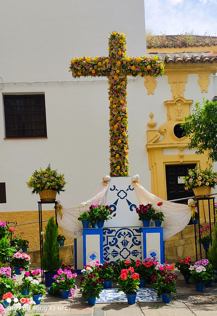 Cruz de Mayo plaza del Rector 1714131245189