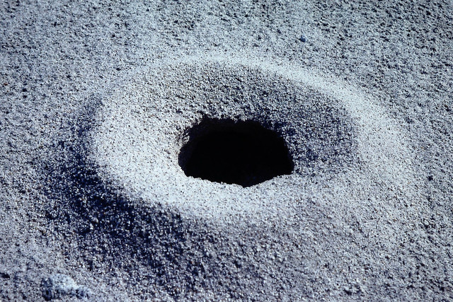 USNP - 00911 Ant Hole