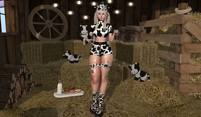 cow in the barn#1