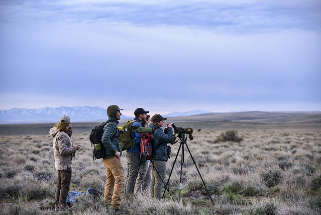 Greater sage-grouse surveys in southwestern Idaho