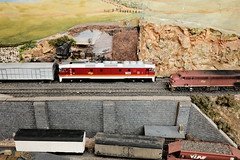 Sydney Model Railway Society, Arncliffe